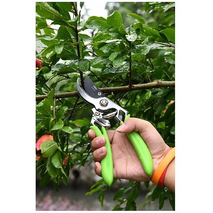 Секатор садовый цельнокованный Deli GS EDL580207, пружина, тефлон, 215 мм., черный, зеленый - 11