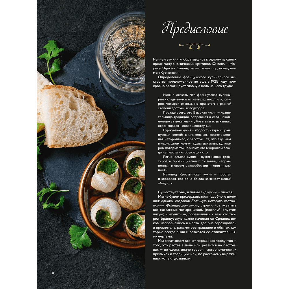 Книга "Большая история гастрономии. Кулинарное искусство Франции: от Средневековья до Новейшего времени", Лоик Бьенасси - 6