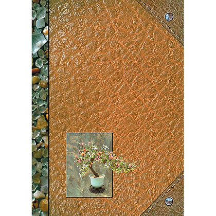Книга канцелярская "Камешки", А4, 96 листов, клетка, коричневый