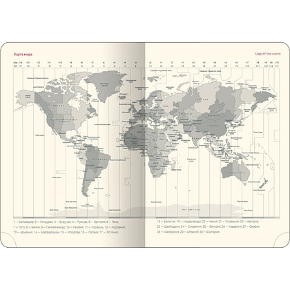 Ежедневник недатированный "Challenge", А5, 320 страниц, коричневый - 3