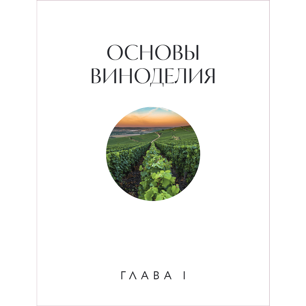 Книга "Вино к еде. Искусство идеального сочетания", Елена Горбачева - 21
