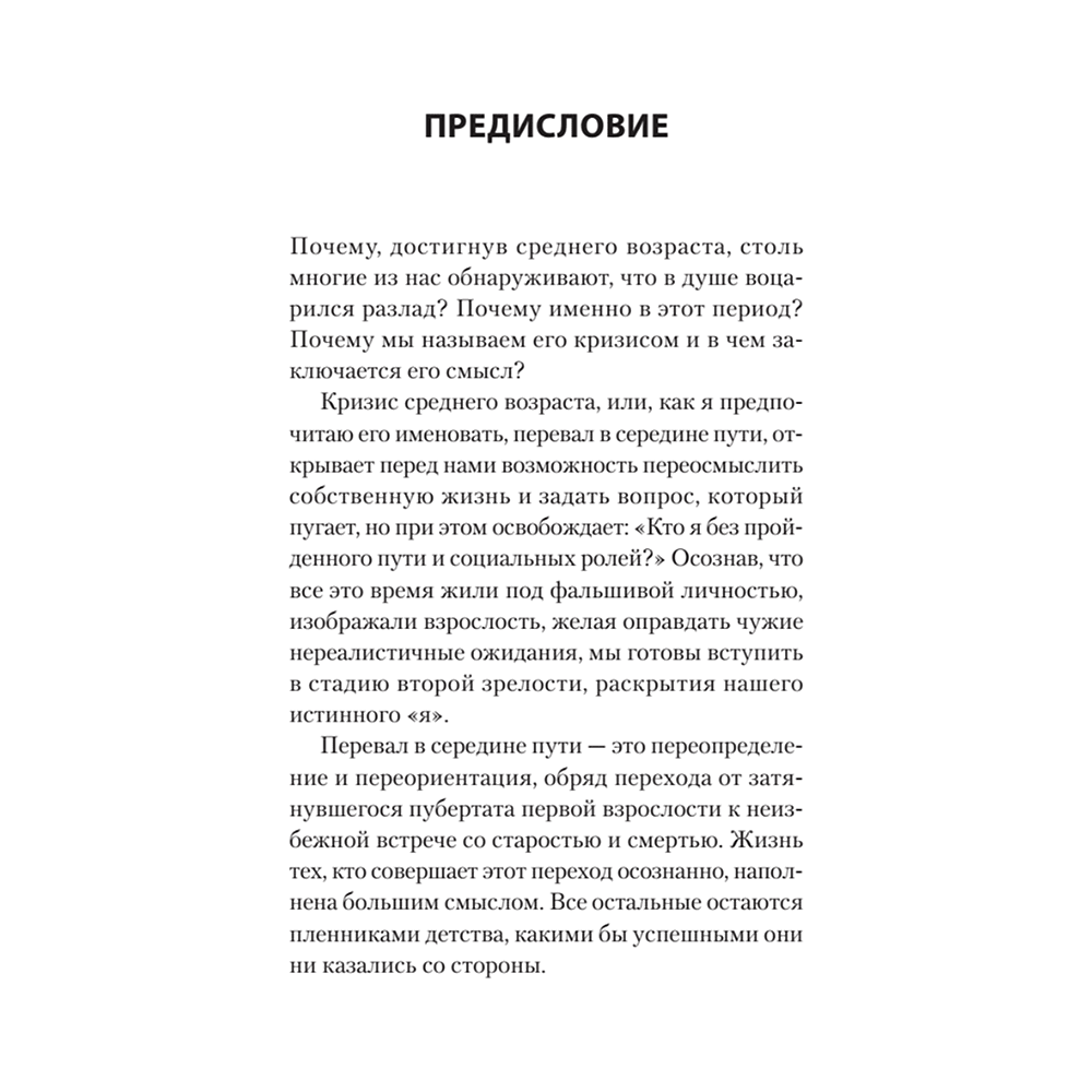 Книга "Перевал в середине пути. Как преодолеть кризис среднего возраста (#экопокет)", Джеймс Холлис - 5