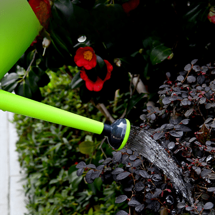 Лейка Deli GS EDL581001, пластмассовая, 1,5 л, зеленая - 2