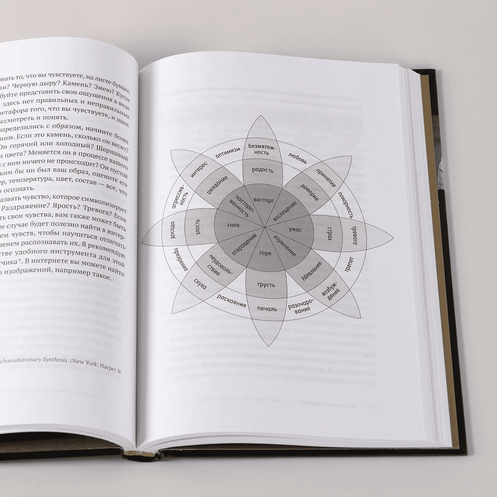 Книга "В плену у достижений: От выгорания к целостности", Степанчук Алина - 9