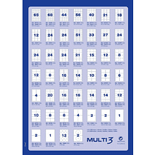 Самоклеящиеся этикетки универсальные MULTI 3, 210х148 мм, 100 листов, белый