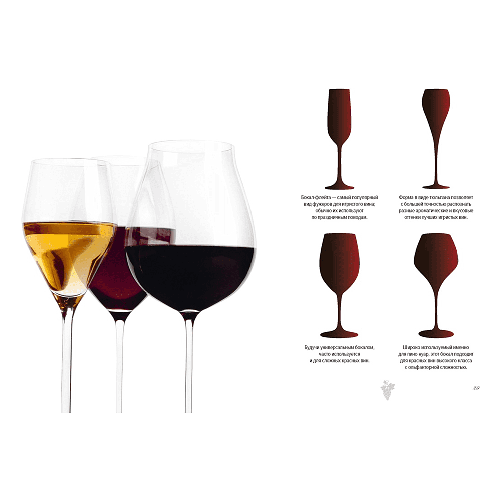 Книга "Маленькая книга гурмана. Вино", Якопо Коссатер, Фабио Петрони - 5