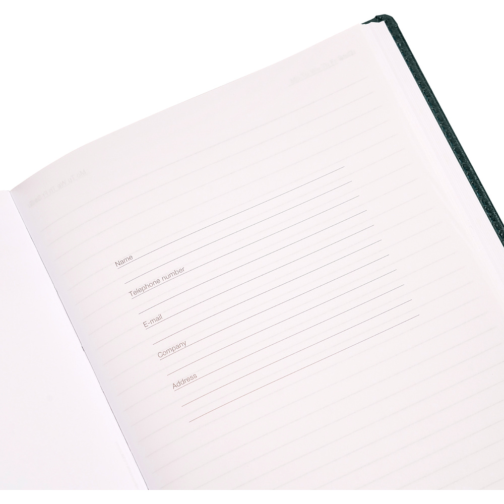 Ежедневник недатированный "Pelle Siena", А5, 272 страницы, зеленый - 9