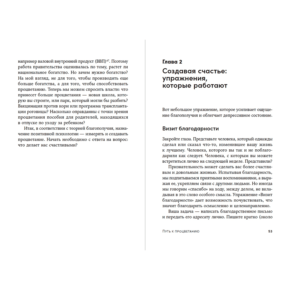 Книга "Путь к процветанию. Новое понимание счастья и благополучия", Мартин Селигман - 14
