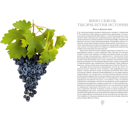 Книга "Маленькая книга гурмана. Вино", Якопо Коссатер, Фабио Петрони - 4