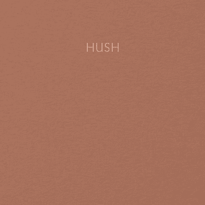 Блокнот "Hush.5", A5, 80 листов, в клетку, коричневый - 2
