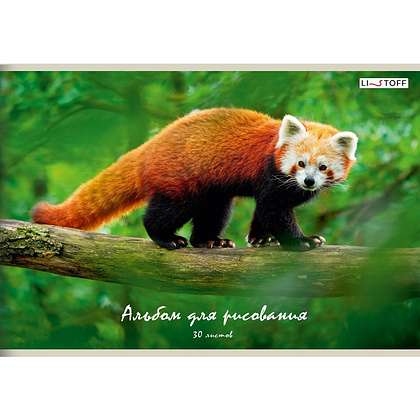 Альбом для рисования "Красная панда", А4, 30 листов 