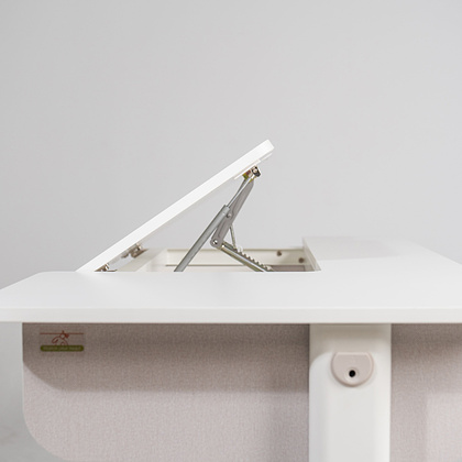 Комплект Ergosmart ученический Caravel: стол регулируемый Caravel, полка с подставкой для книг Wooden space - 19