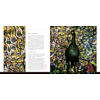 Книга на английском языке "Louis Comfort Tiffany: Masterworks", Camilla Bedoyere - 3