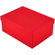 Коробка картонная, 220х160х95 мм