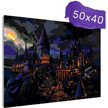 Картина по номерам "Гарри Поттер. Замок Хогвартс"
