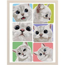 Картина по номерам "Эмоции белого котика"
