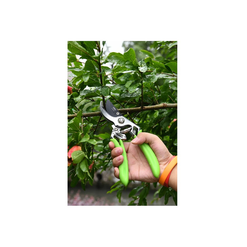 Секатор садовый цельнокованный Deli GS EDL580207, пружина, тефлон, 215 мм., черный, зеленый - 11