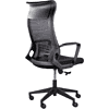 Кресло для руководителя "UTFC Рекорд М-878", пластик, черный  - 4