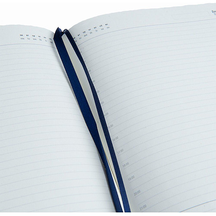 Набор: ежедневник недатированный A5 "Boomer" и ручка шариковая автоматическая "View C CR", синий - 4