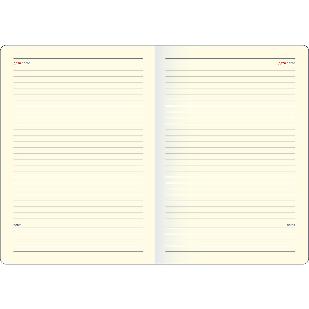 Ежедневник недатированный InFolio "Matte", A5, 320 страниц, линованный, синий  - 4