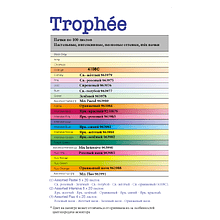 Бумага цветная "Trophée", А4, 100 листов, 80 г/м2, ассорти яркий