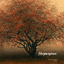 Рюкзак "Дичка", Валерий Шкарубо, разноцветный