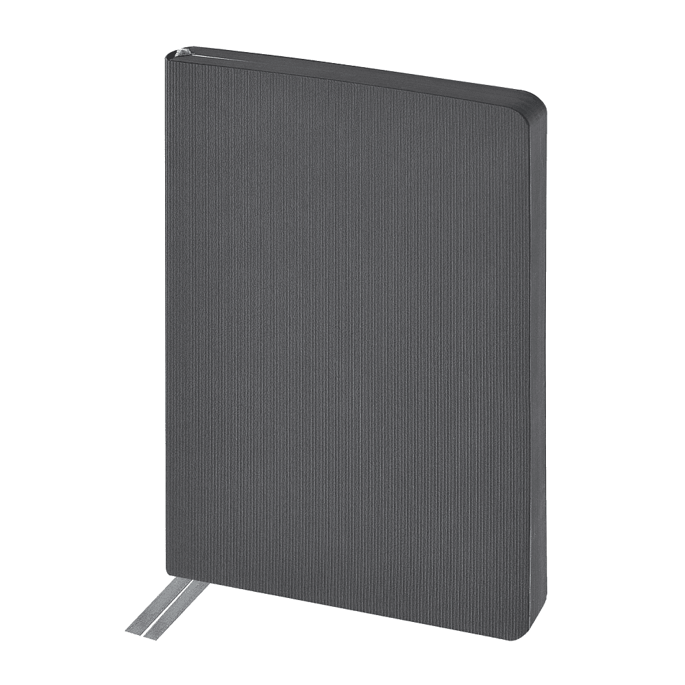 Ежедневник недатированный «Megapolis Slim flex», А5, 256 страниц, серый, срез серый - 2