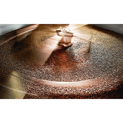 Книга "Философия кофе. От зерна до идеального напитка", Луиджи Оделло, Джованни Руджиери, Фабио Петрони - 7