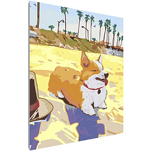 Картина по номерам "Корги на пляже"