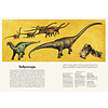 Книга "Динозавриум. Иллюстрированная энциклопедия", Маррей Л., Скотт К., Брун Д. - 4