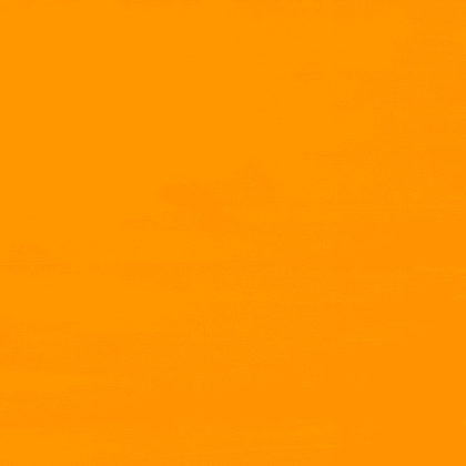 Краски гуашевые "Сонет", 315 оранжевая, 100 мл., банка - 3