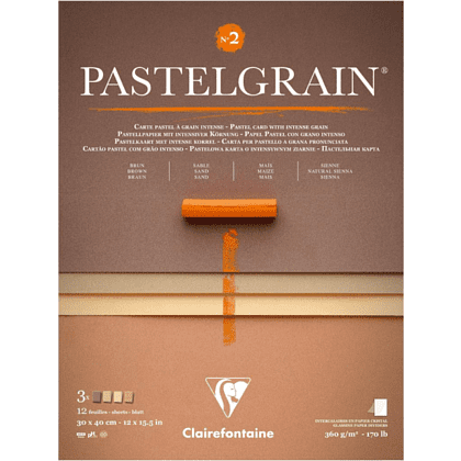 Блок бумаги для пастели "PastelGrain" 4 оттенка, 30х40см, 360 г, 12 листов, №2