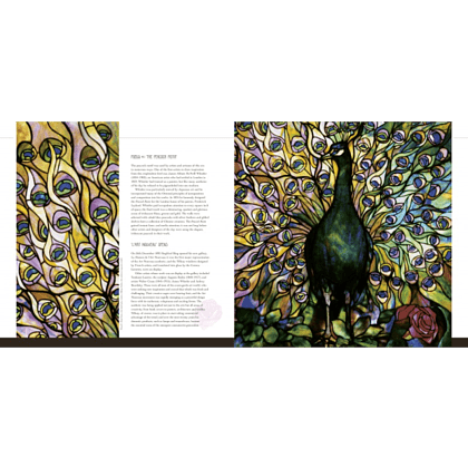 Книга на английском языке "Louis Comfort Tiffany: Masterworks", Camilla Bedoyere - 3