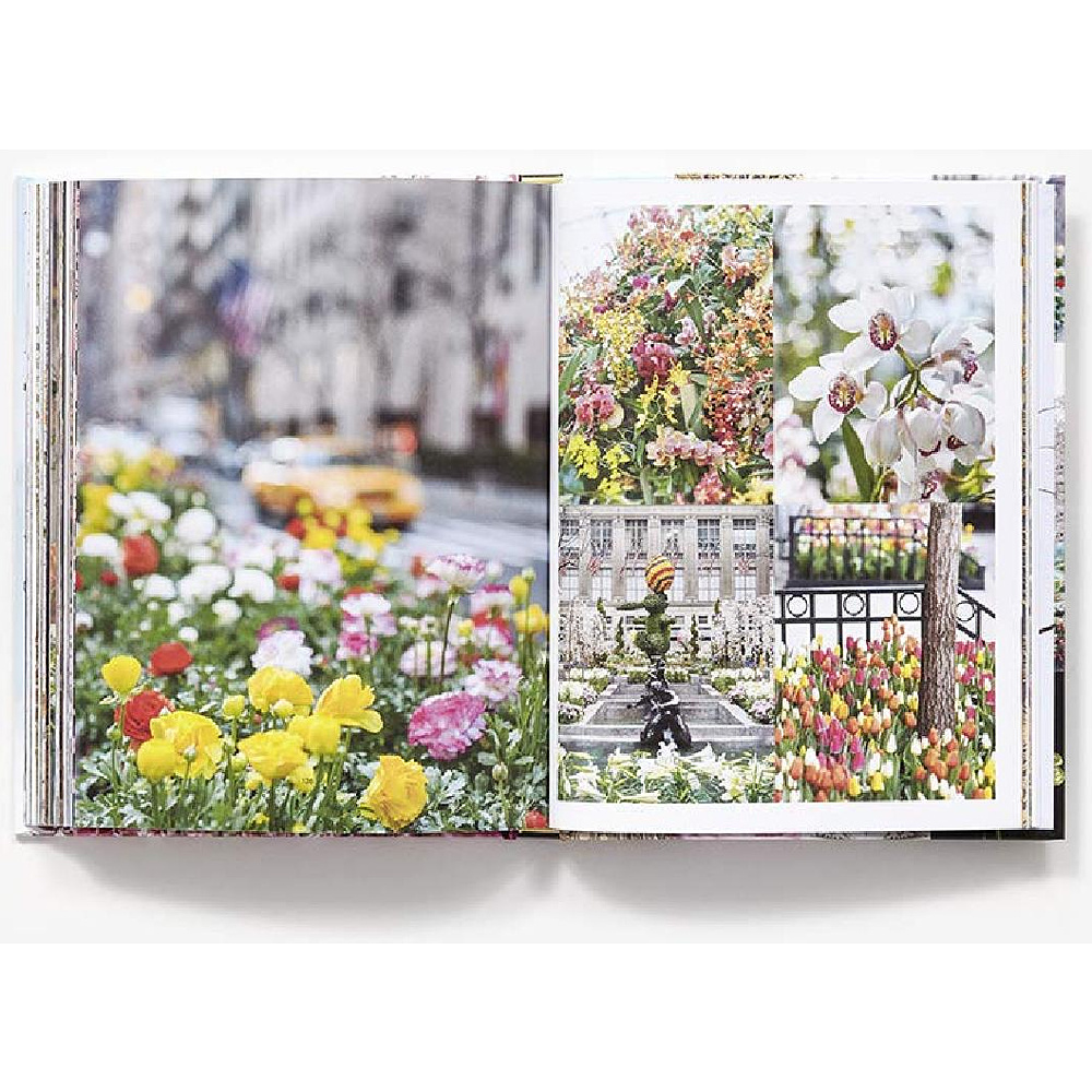 Книга на английском языке "New York in Bloom", Lane G. - 2