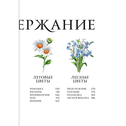 Книга "Цветы в искусстве. Воспевание красоты" - 4