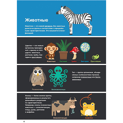Книга "В мире животных: инфографика", Харриет Брандл, -50% - 4