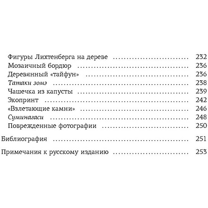 Книга "Wabi Sabi. Глоток счастья по-японски", Рафаэль Видалинг - 6