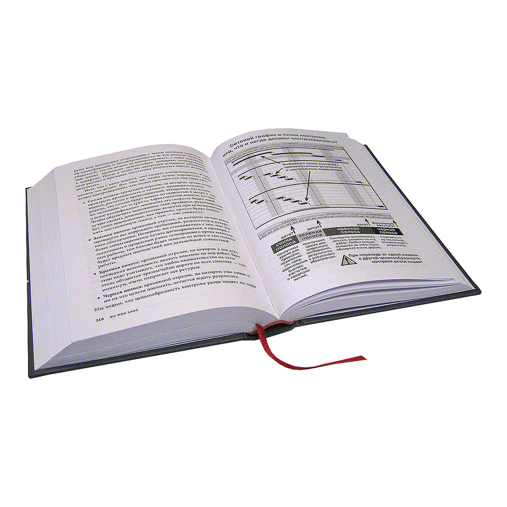 Книга "Вы или хаос. Профессиональное планирование для регулярного менеджмента", Александр Фридман - 3