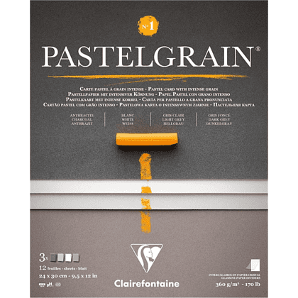 Блок бумаги для пастели "PastelGrain" 4 оттенка, 24х30см, 360 г, 12 листов, №1