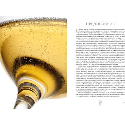 Книга "Маленькая книга гурмана. Вино", Якопо Коссатер, Фабио Петрони - 3