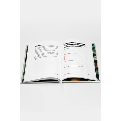 Книга "Поштурмим?", Игорь Манн, Дмитрий Турусин - 6