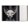 Книга на английском языке "Between Us. Animal Portraits" HB, Vincent Lagrange - 4