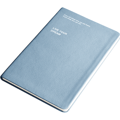 Ежедневник недатированный InFolio "Dream", А5, 192 страницы, голубой - 2