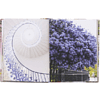 Книга на английском языке "London in Bloom", Lane G.  - 8