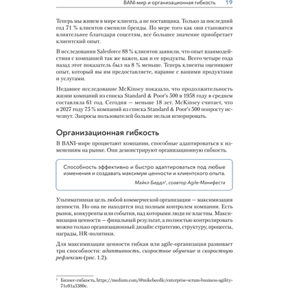Книга "Дизайн Agile-организаций", Илья Павличенко - 11