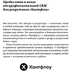 Книга "Все, что вы хотели знать об IT-рекрутинге: Как обогнать конкурентов в гонке за профессионалами", Ксения Окунцева - 5