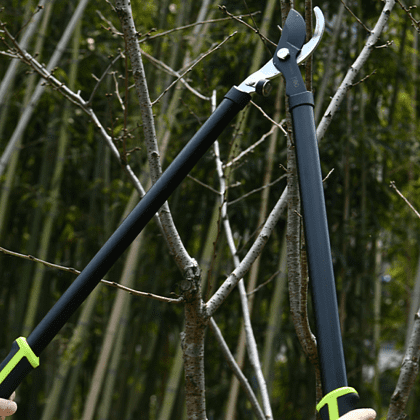 Набор садовых инструментов Deli GS EDL580002, 2 шт. - 2