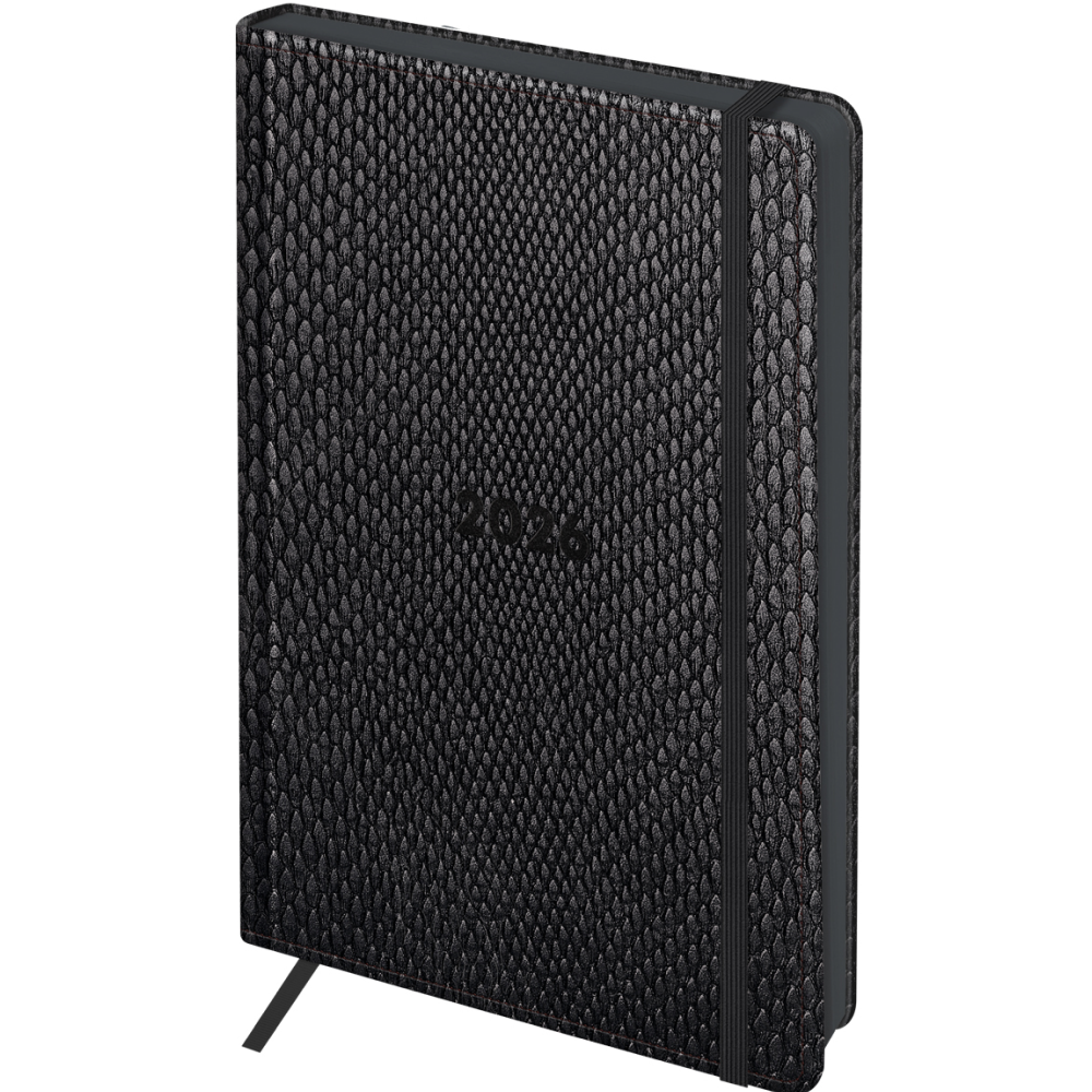 Ежедневник датированный "Python. Graphite" на 2026 год, А5, 352 страницы, графит, срез цветной