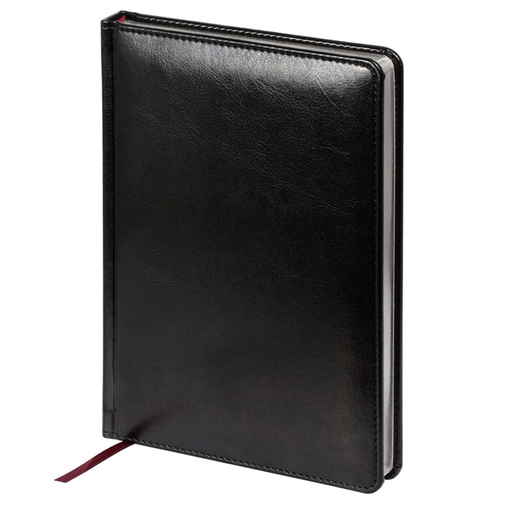 Ежедневник недатированный "Sidney Nebraska", серебристый обрез