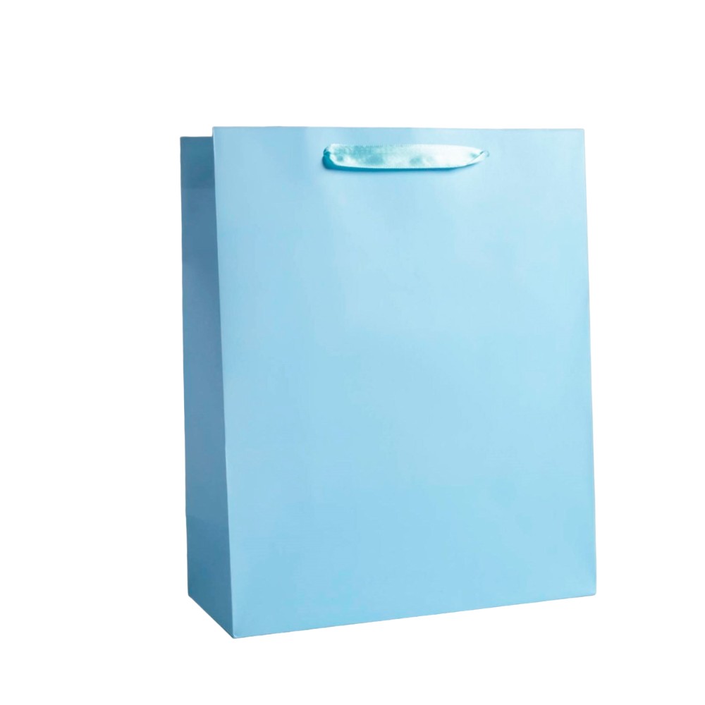 Пакет бумажный подарочный "Basic"